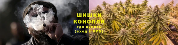 mdpv Бородино