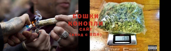 mdpv Бородино