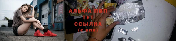 mdpv Бородино