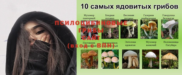 jwh Верея