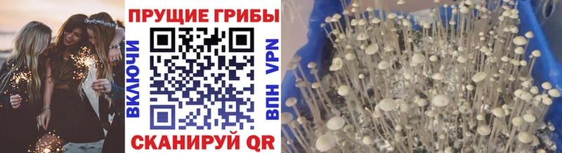Галлюциногенные грибы Magic Shrooms  Кизел 